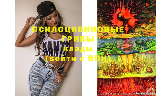 кокс Богородицк