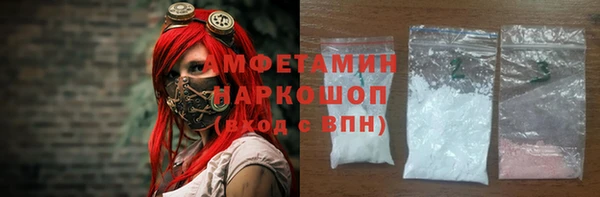 PSILOCYBIN Бородино