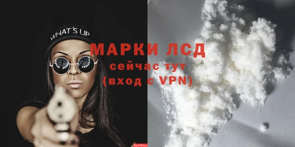 PSILOCYBIN Бородино