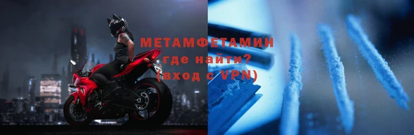 индика Богородск