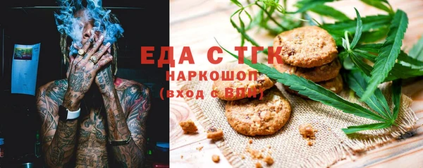 индика Богородск