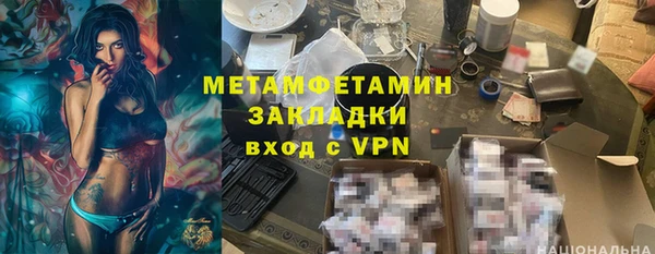 индика Богородск