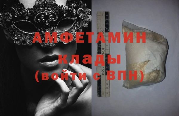 индика Богородск