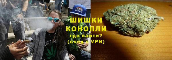 индика Богородск