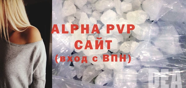 индика Богородск