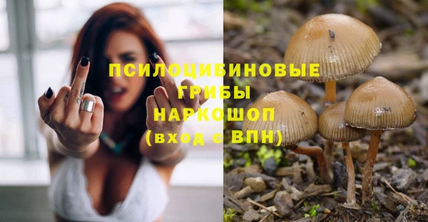 кокс Богородицк